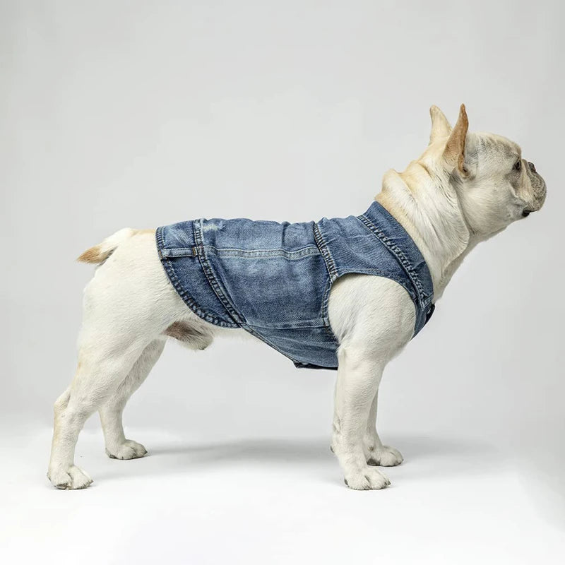 Spring Denim Dog Vest Shih Tzu Clothes for Small Dogs Yorkshire Terrier Puppy Jeans Jacket for Chihuahua Apparel Cat Clothes