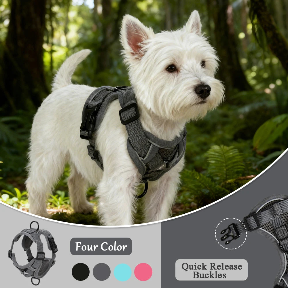 Pet Harness and Leash Set Reflective Walking Puppy Vest Chest Strap For Small Dogs Cats Breathable Outdoor Harnesses With D-Ring