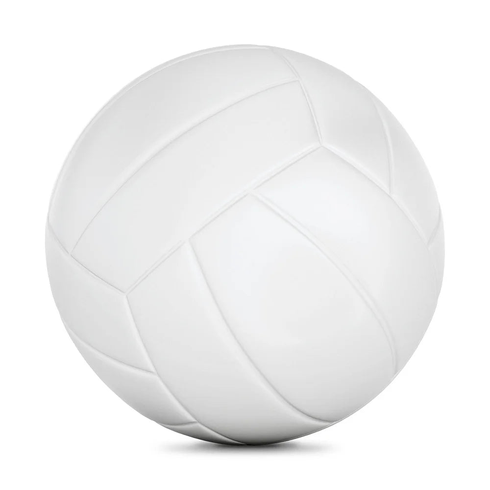 2 Pack Youth Volleyball Indoor Outdoor Composite Durable Full Size Easy to Control Ready to Use Perfect Practice Games