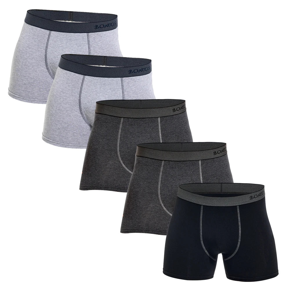 5Pcs Men's Panties Cotton Boxer Sexy Man Boxers Underwear Shorts Lots Male Boxershorts Set Family Underpants Brands